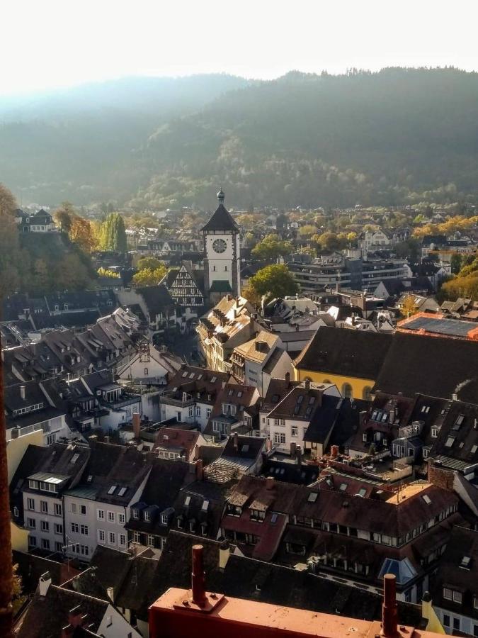 Luxus Apartment LudwigXV Fribourg im Breisgau Extérieur photo